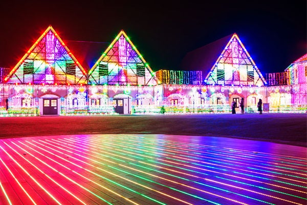 【新宿発】「東京ドイツ村」ウィンターイルミネーション&南房総いちご狩り!!話題の川崎工場夜景に、館山のフォトジェニックなスポットを巡る♪よくばり日帰りバスツアー1